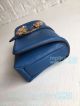 Newest Clone Michael Kors Blue Genuine Leather Butterfly Diamond Lock Bag (7)_th.jpg